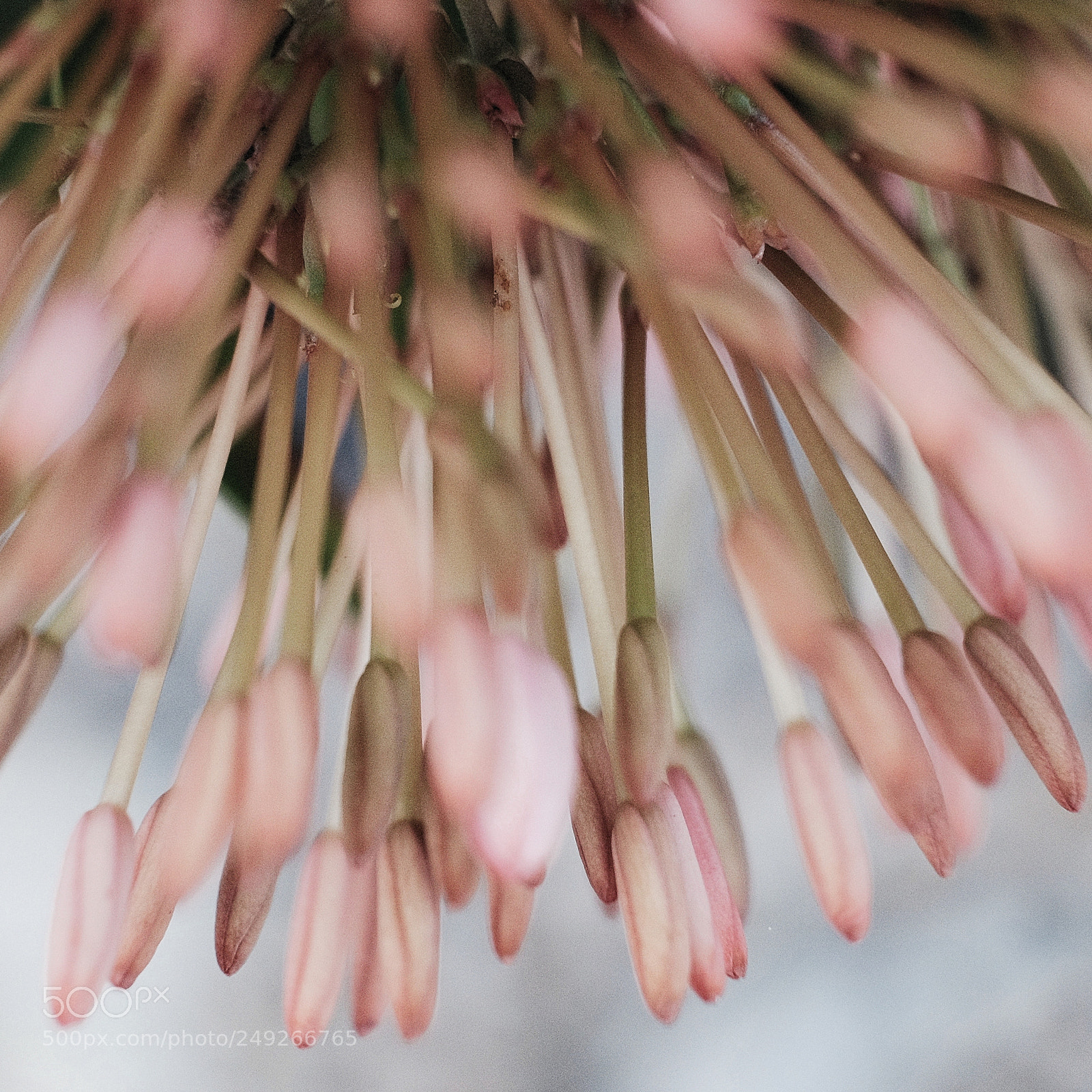 Fujifilm X-T10 sample photo. Pink chandelier photography