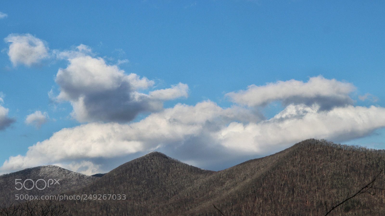 Canon EOS 80D sample photo. Tanbark ridge photography