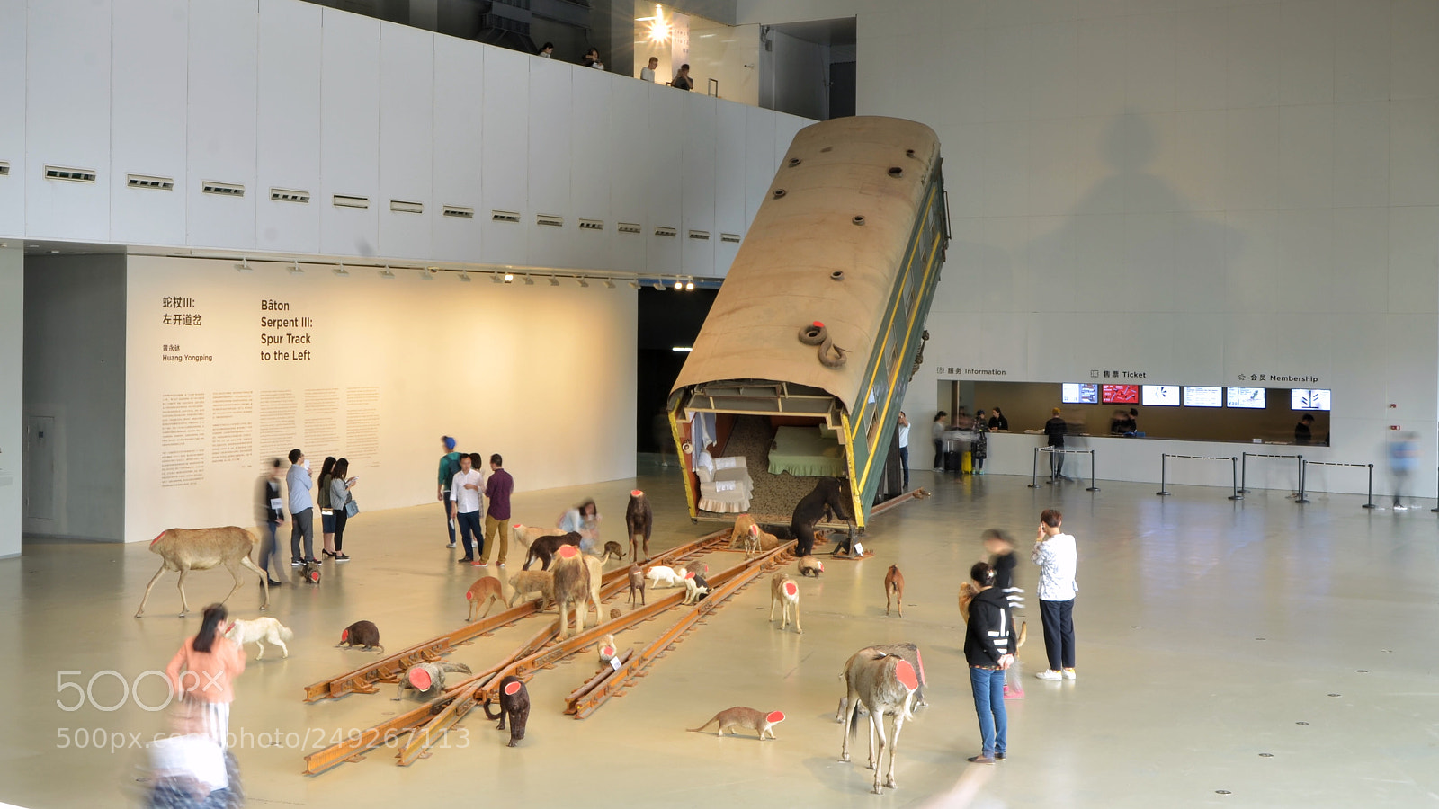 Nikon D7000 sample photo. Exhibition photography