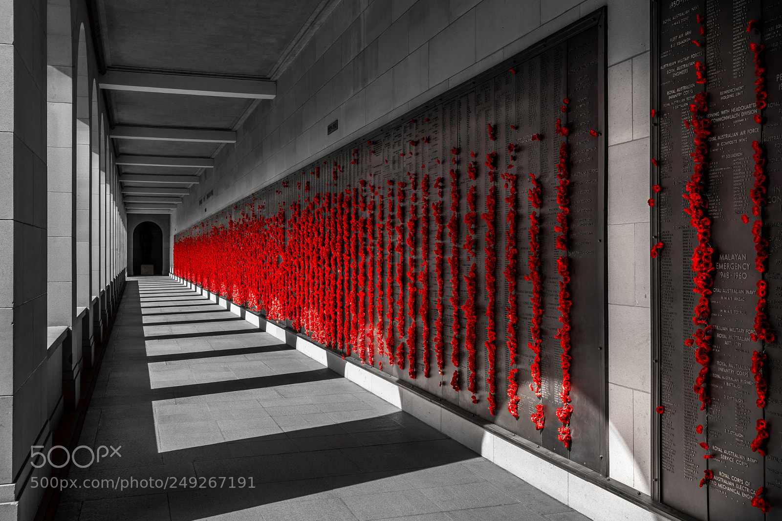 Nikon D500 sample photo. Wall of remembrance  photography