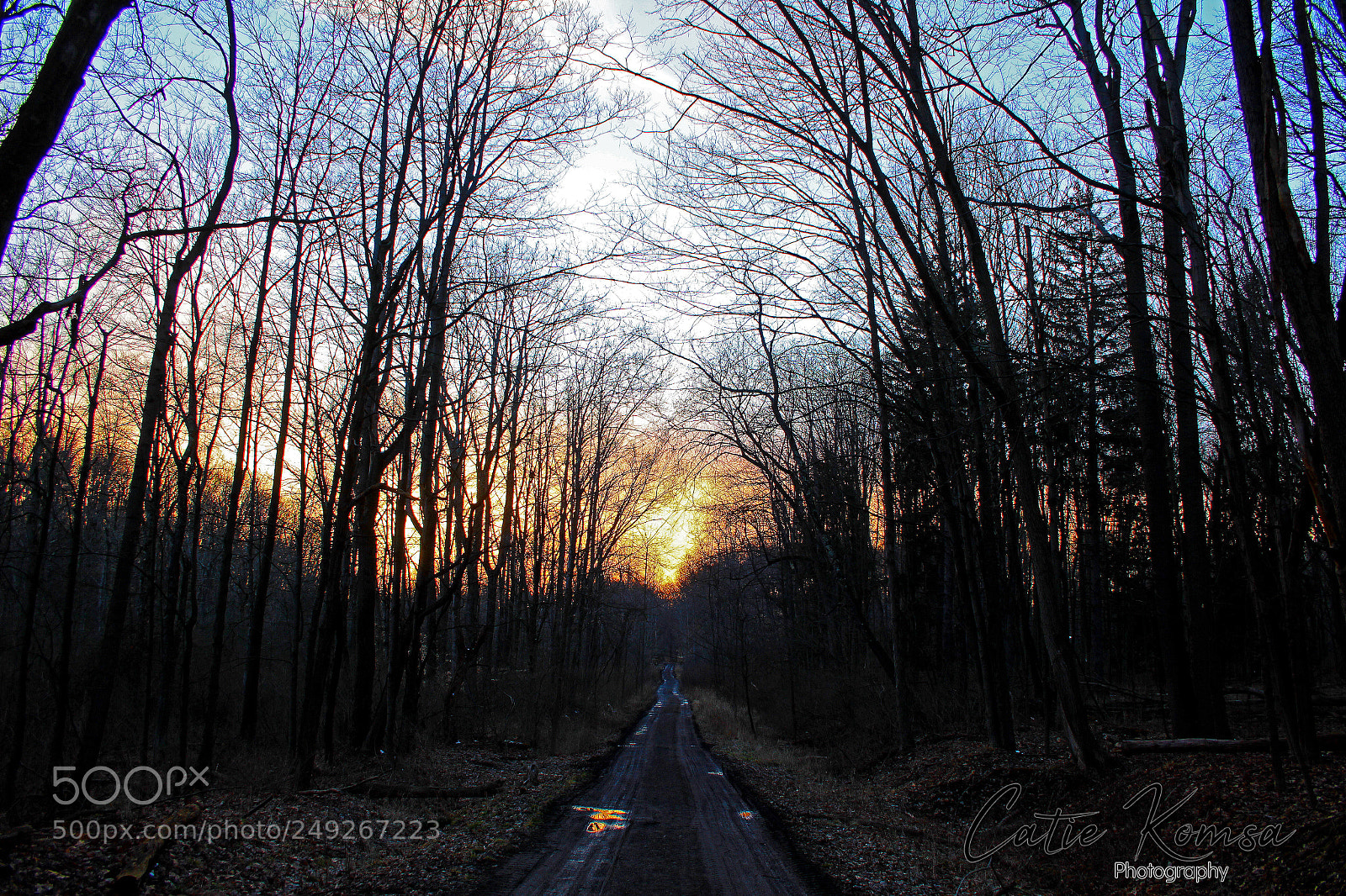 Canon EOS 550D (EOS Rebel T2i / EOS Kiss X4) sample photo. Long road photography