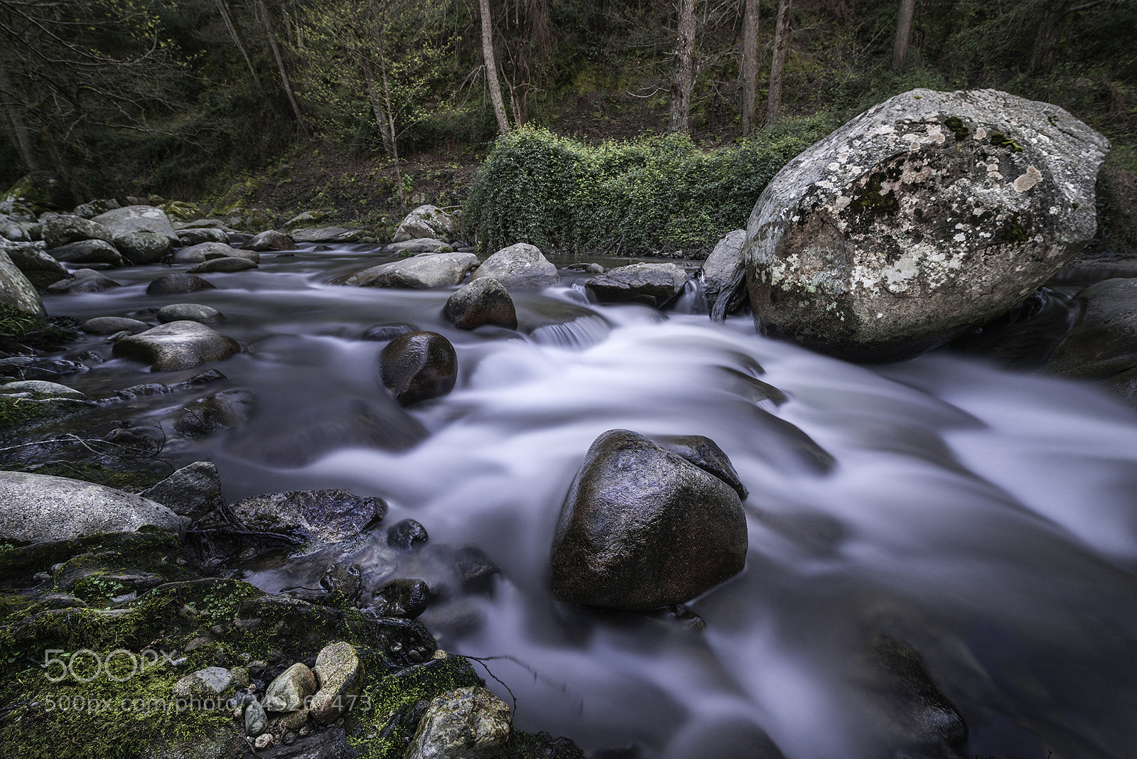 Nikon D810 sample photo. Streaming water photography