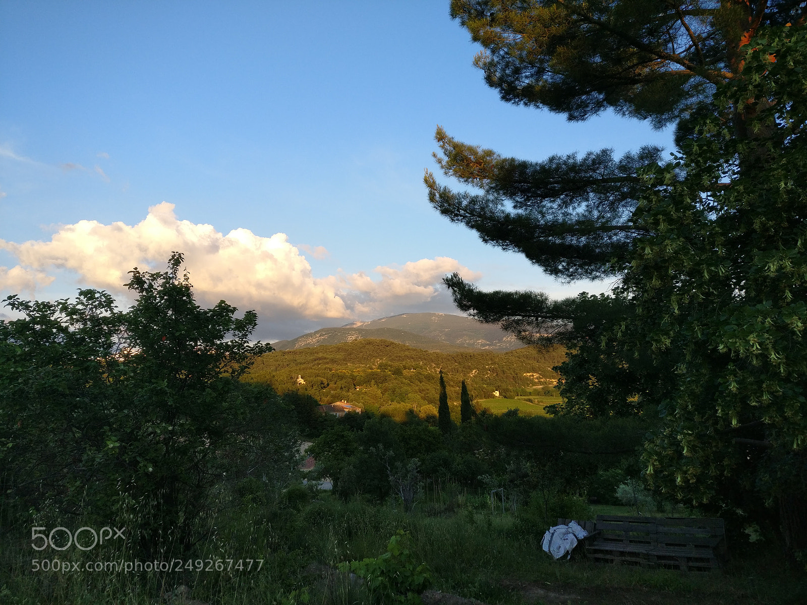 OnePlus A3003 sample photo. Img_20170605_205517.jpg photography