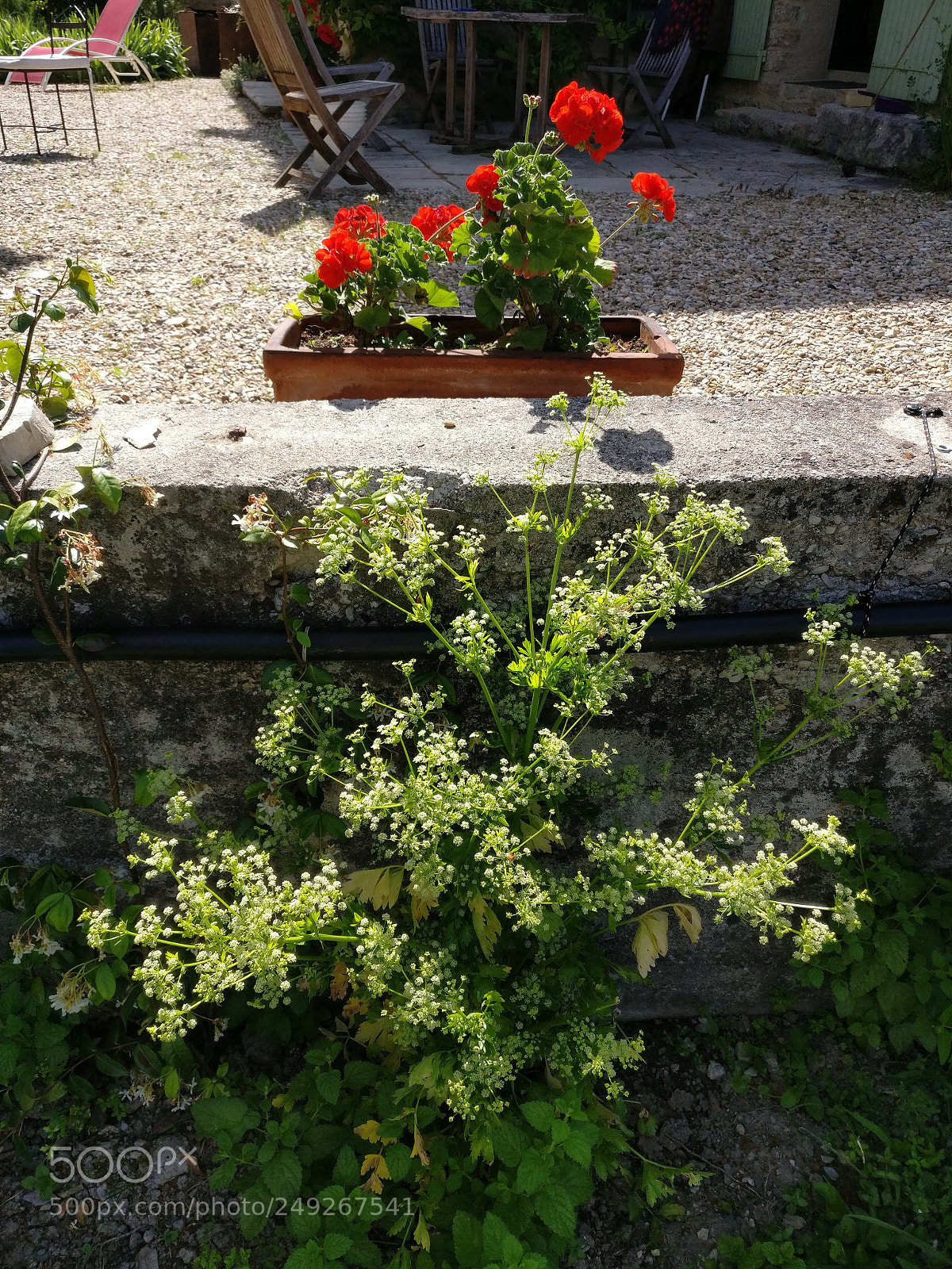 OnePlus A3003 sample photo. Img_20170609_164558.jpg photography