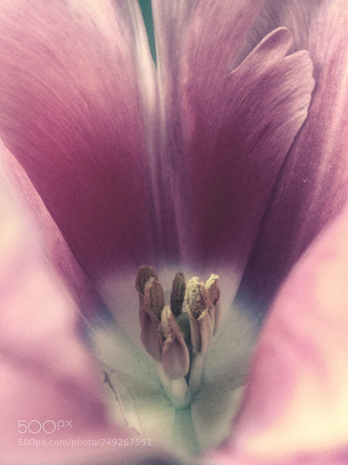 Motorola Moto G (4) sample photo. Flow photography