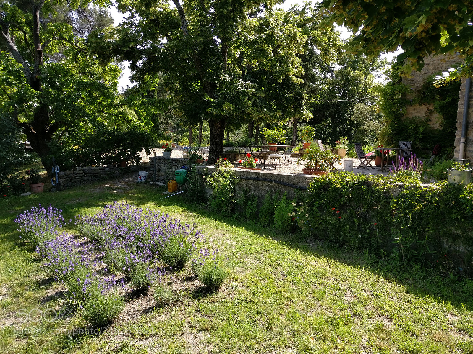OnePlus A3003 sample photo. Img_20170609_164455.jpg photography