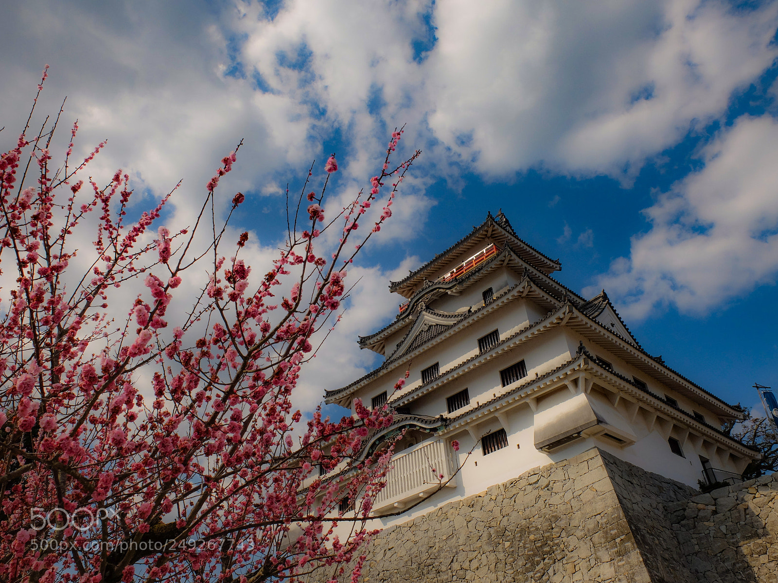 Fujifilm X30 sample photo. Japanese castle photography