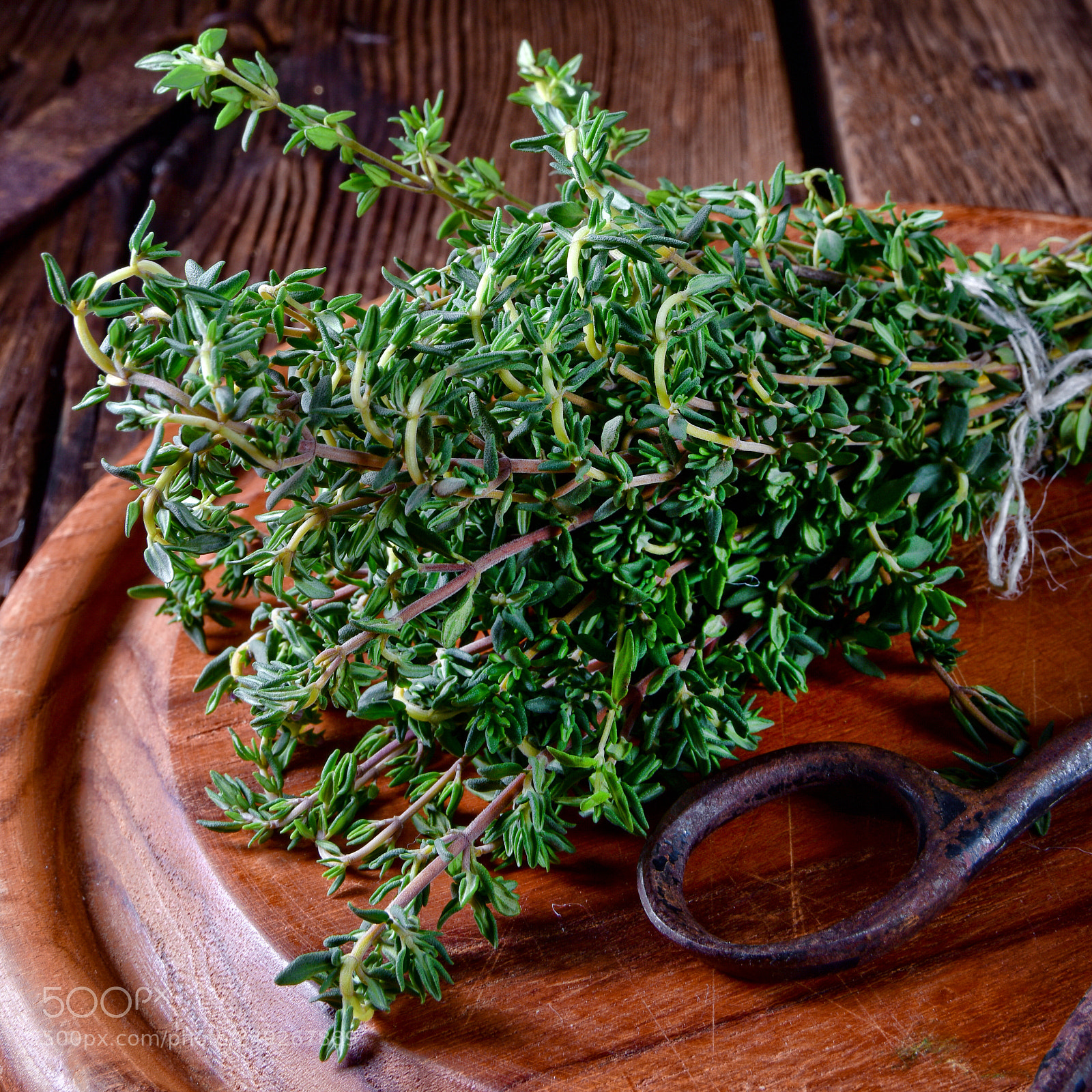 Nikon D810 sample photo. Herbal collection of thyme,oregano photography