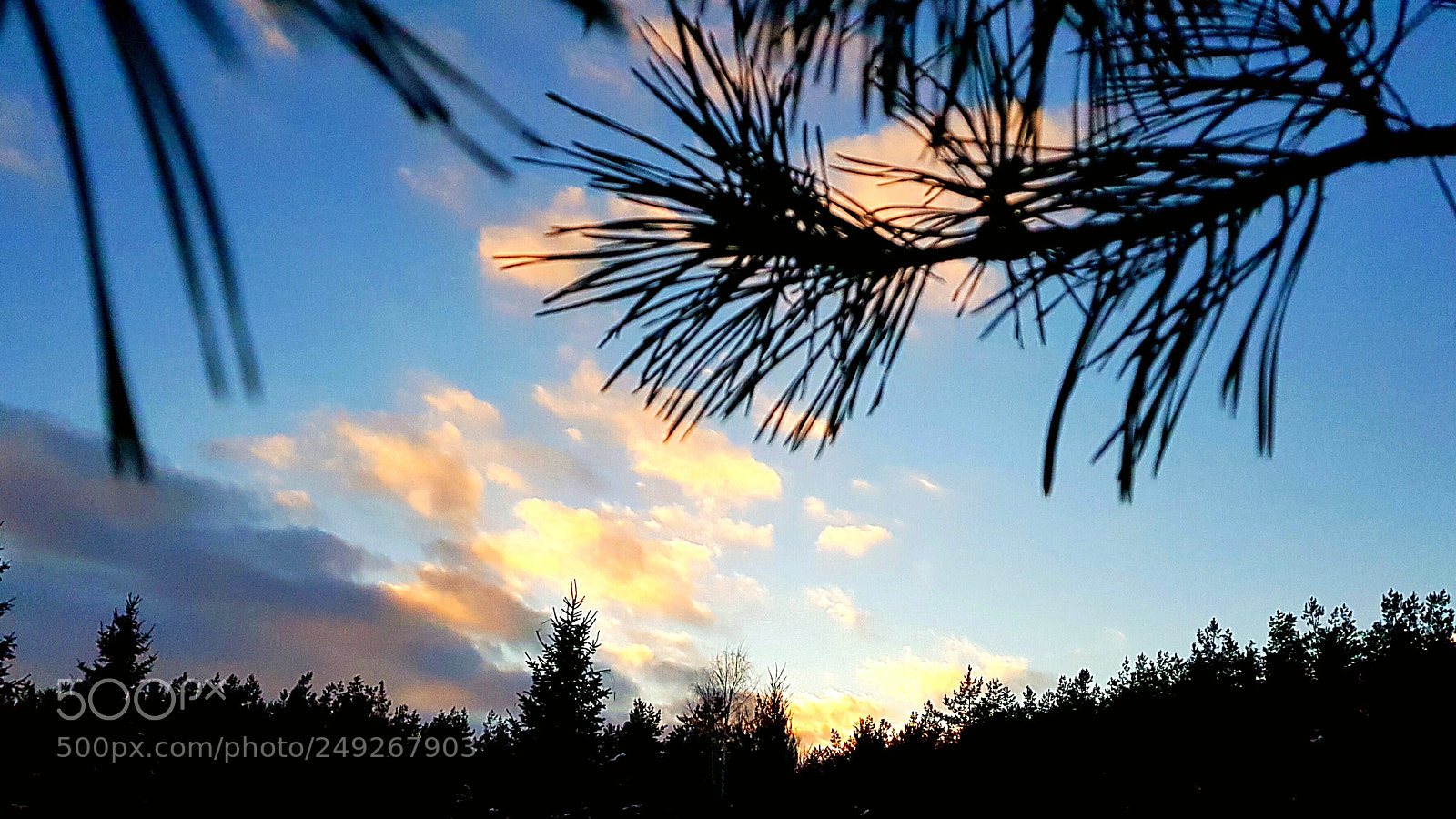 Samsung Galaxy S8+ sample photo. Evening sky photography