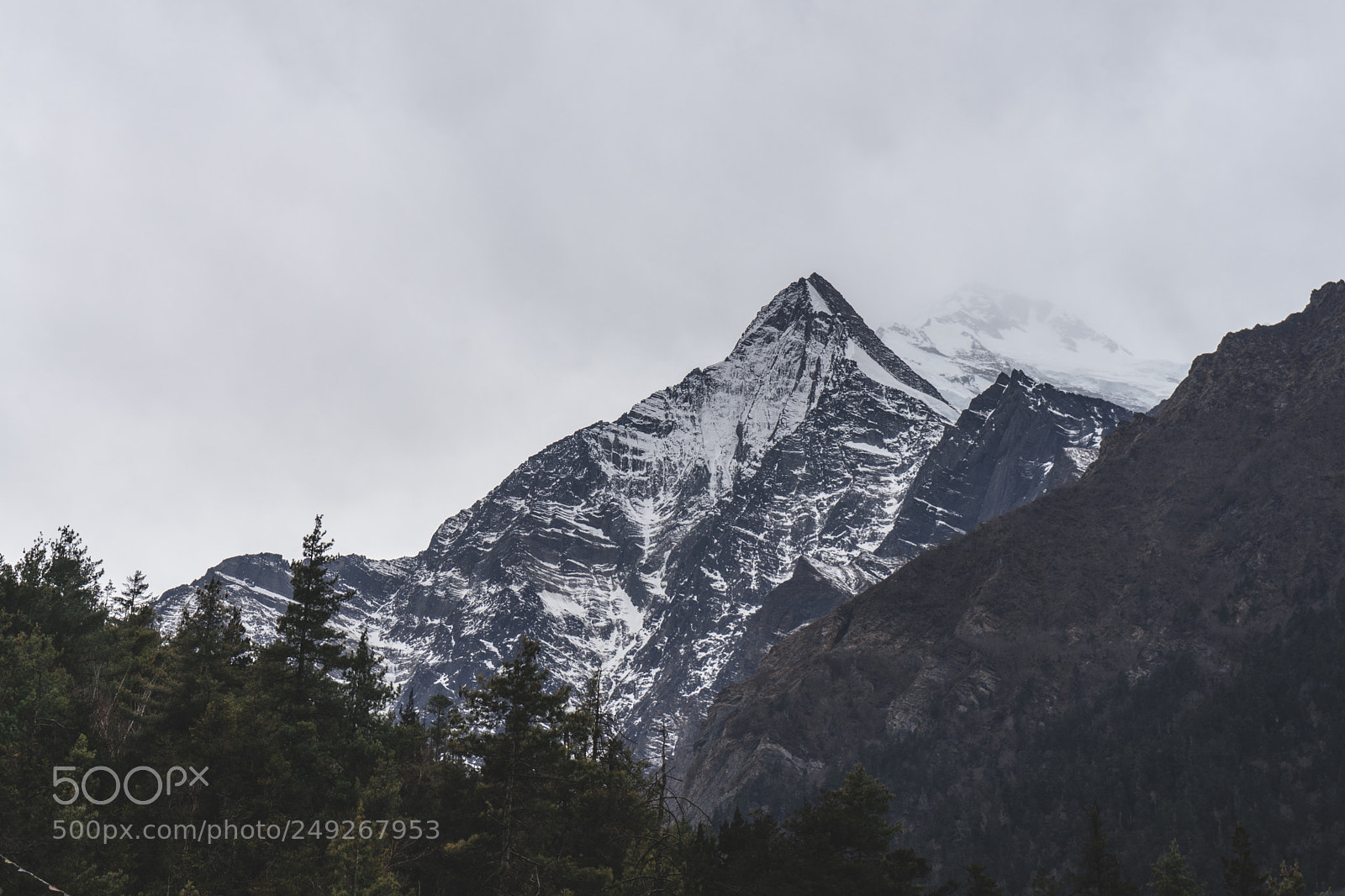 Sony a7 sample photo. Gray day photography