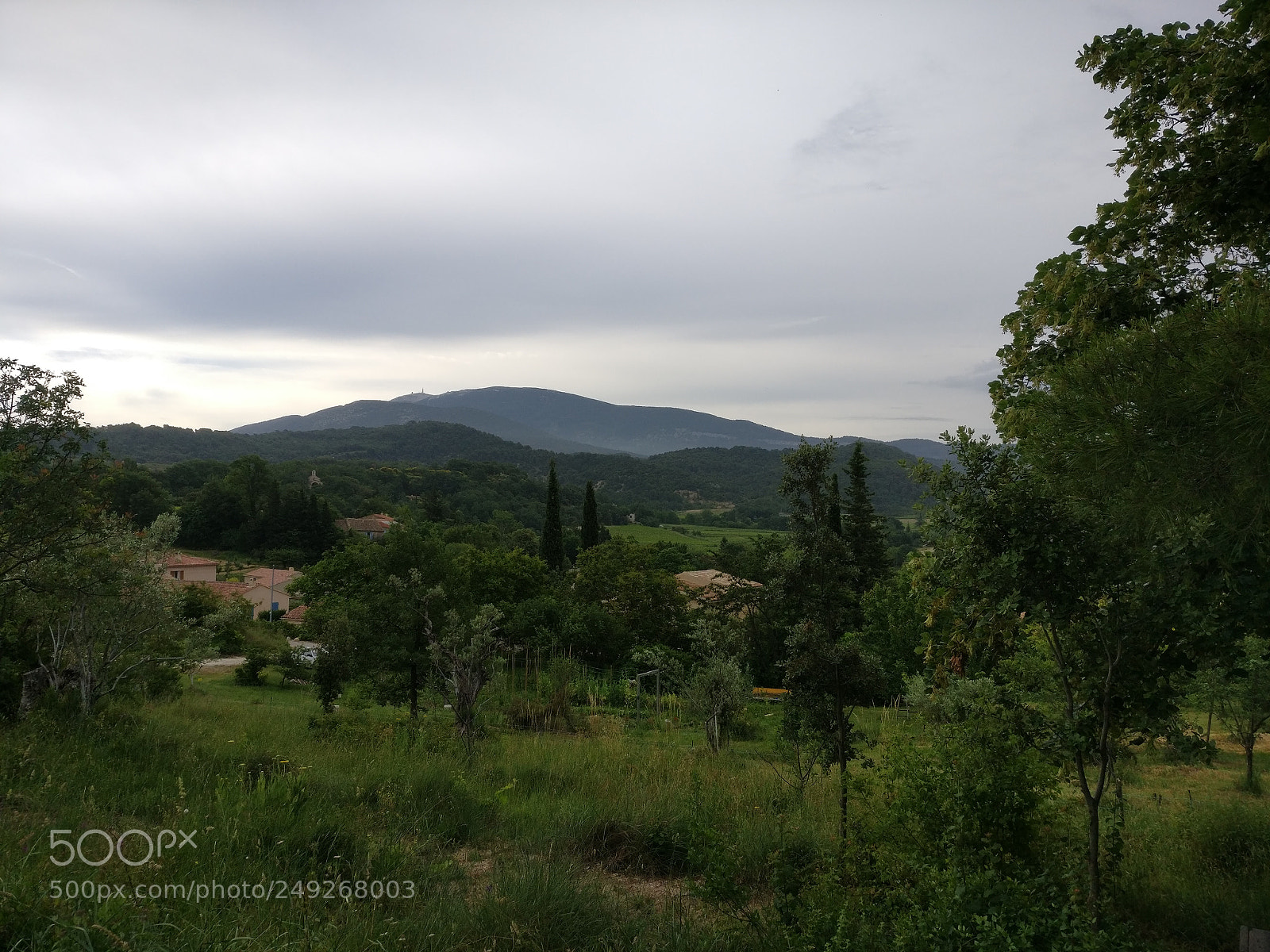 OnePlus A3003 sample photo. Img_20170609_085851.jpg photography