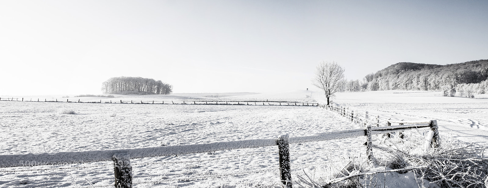 Canon EOS 50D sample photo. Clear and frosty photography