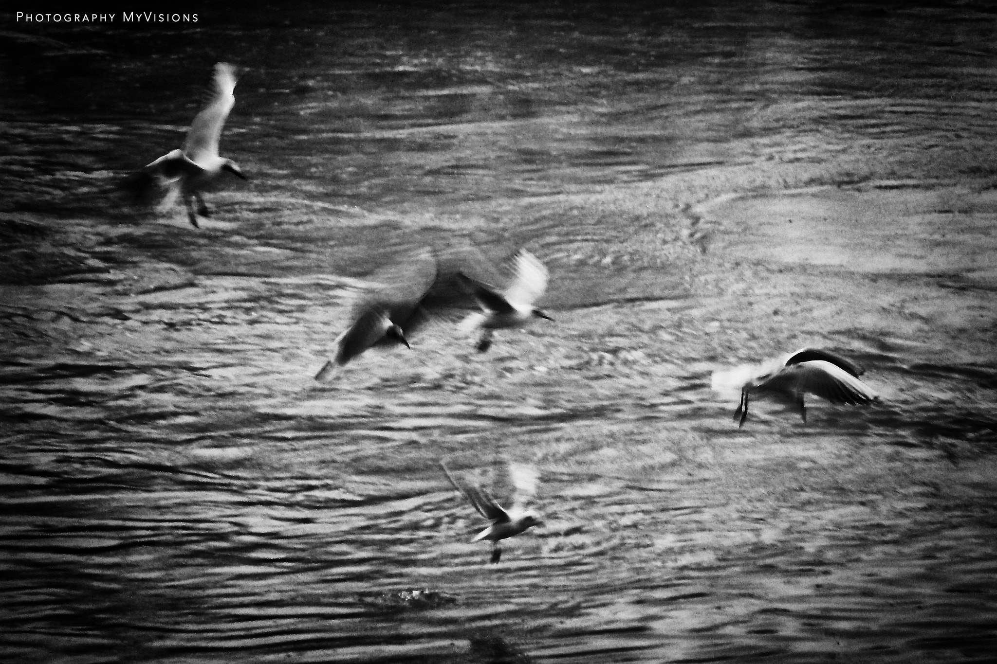 Nikon Coolpix AW130 sample photo. Volando libre photography
