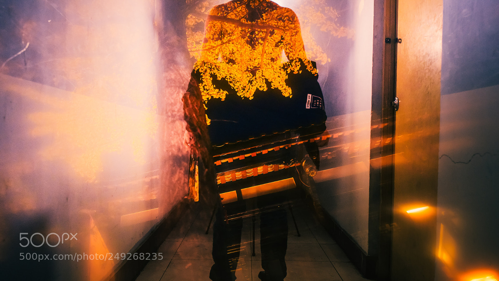 Nikon D810 sample photo. Untitled photography