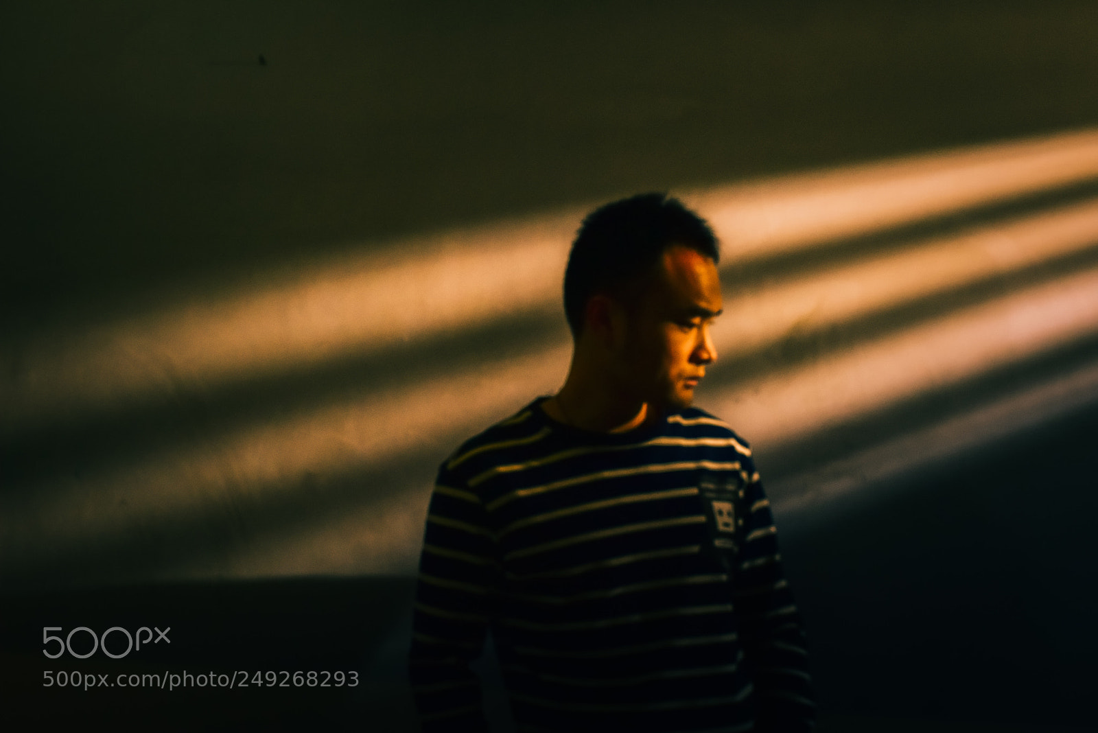 Nikon D810 sample photo. Untitled photography