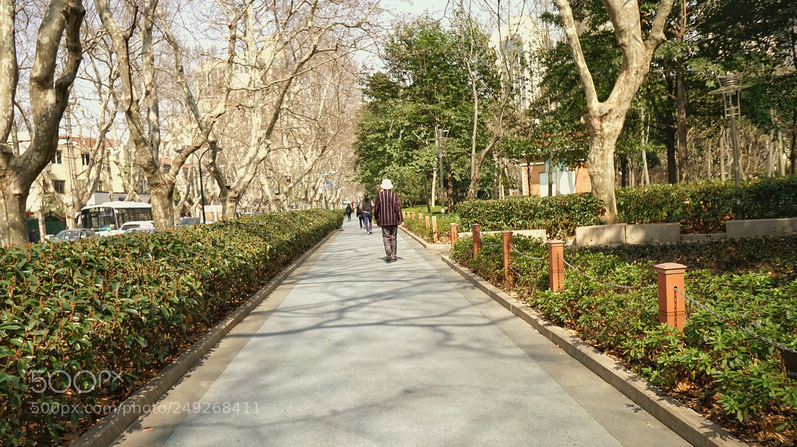 Sony a6300 sample photo. Untitled photography