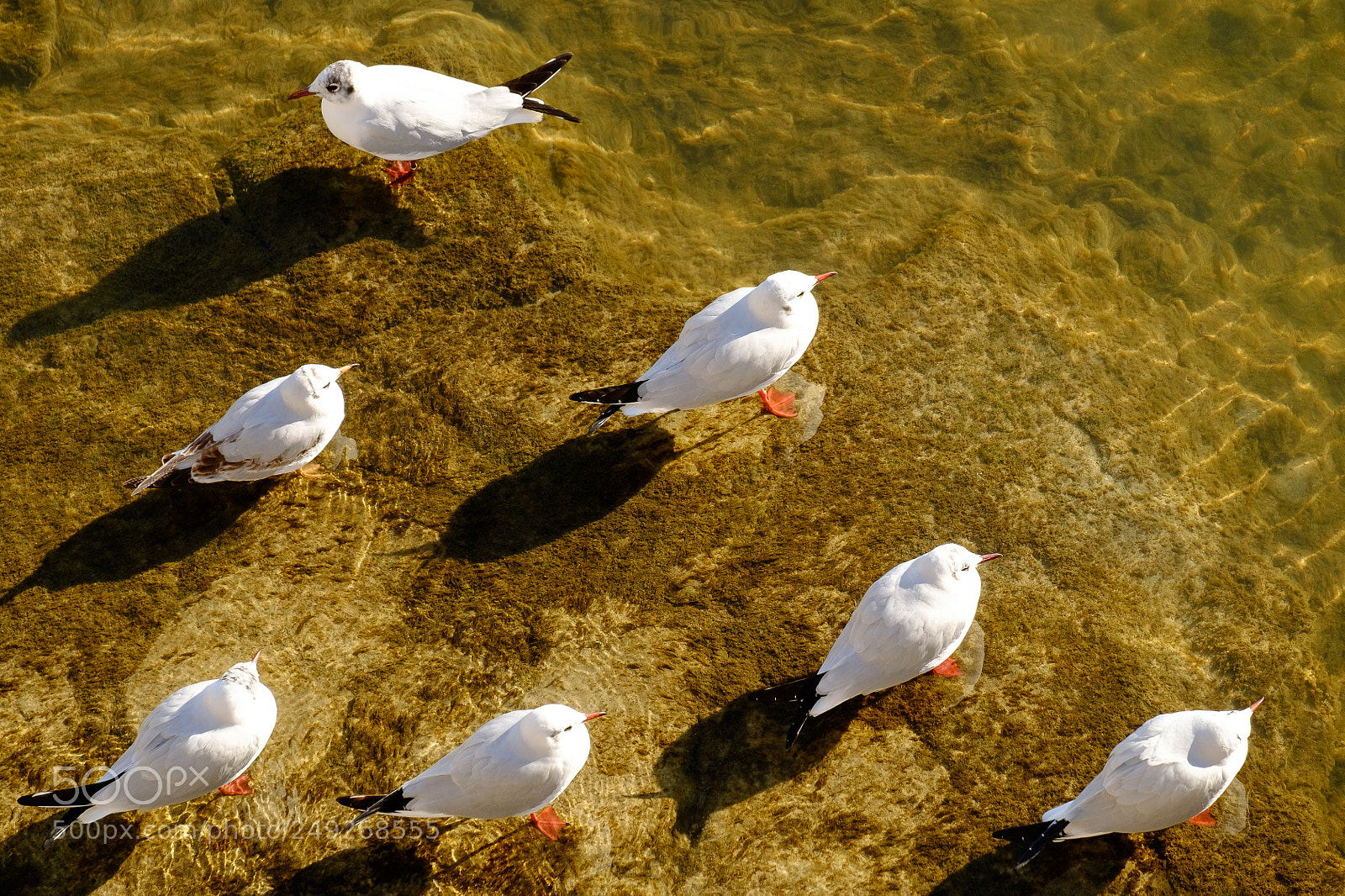 Fujifilm X-T1 sample photo. There is always someone photography