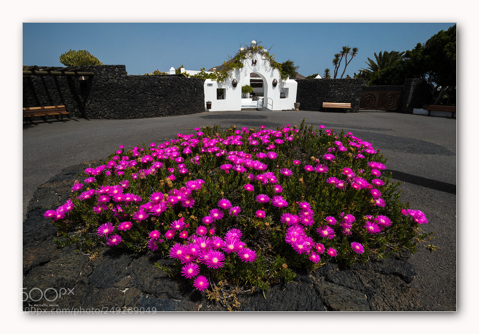 Canon EOS M5 sample photo. Fundaci n c sar photography