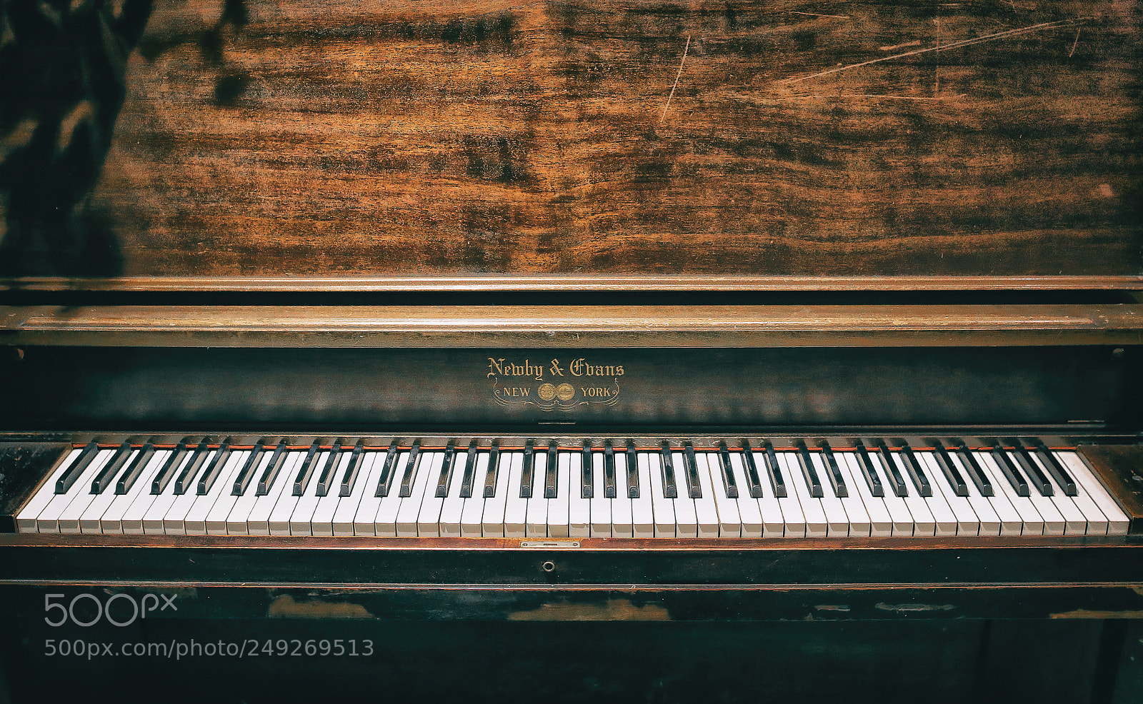 Canon EOS 5D Mark IV sample photo. In the gallery photography