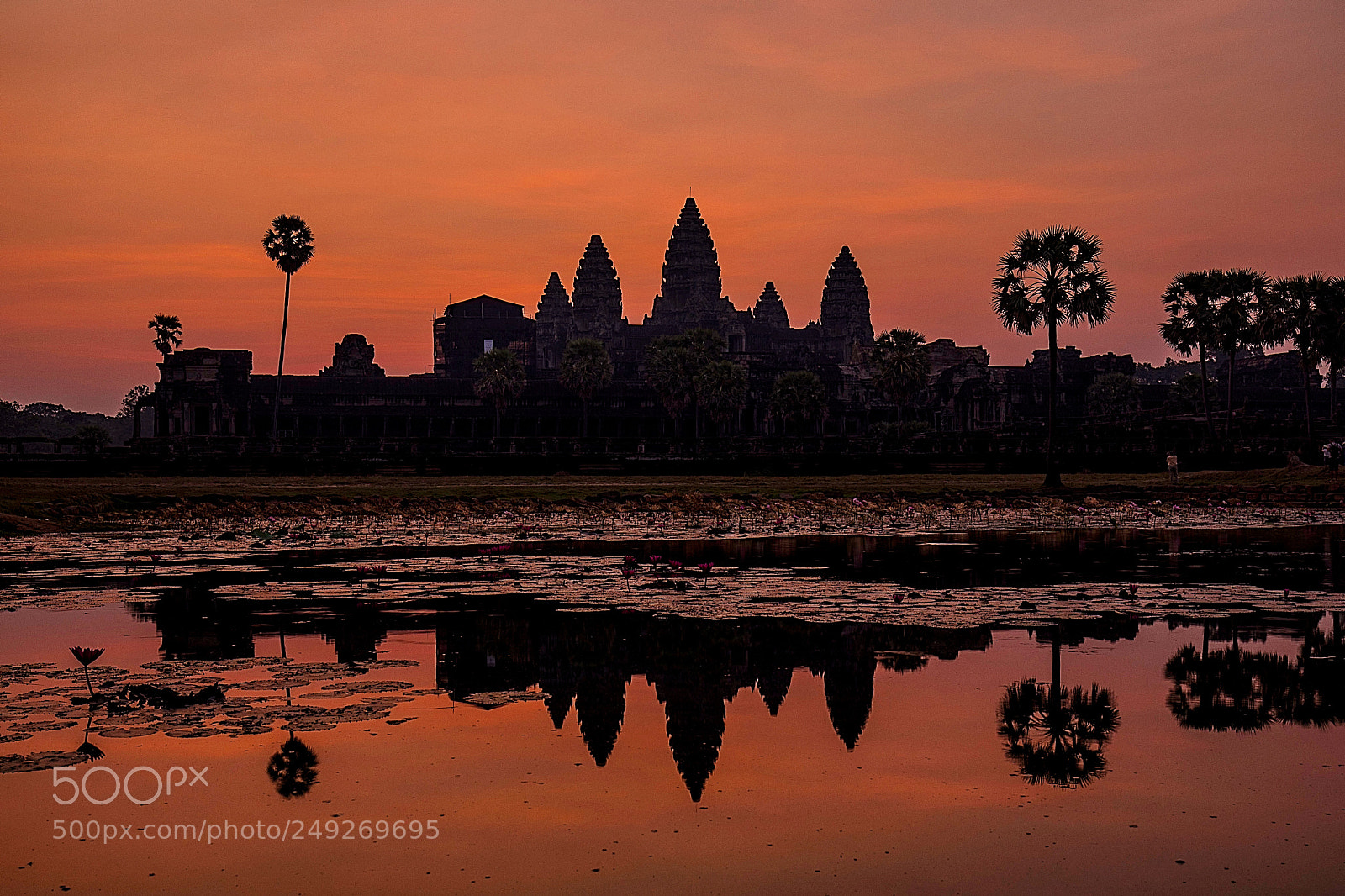 Canon EOS 5D Mark IV sample photo. Dawn @ angkor wat photography