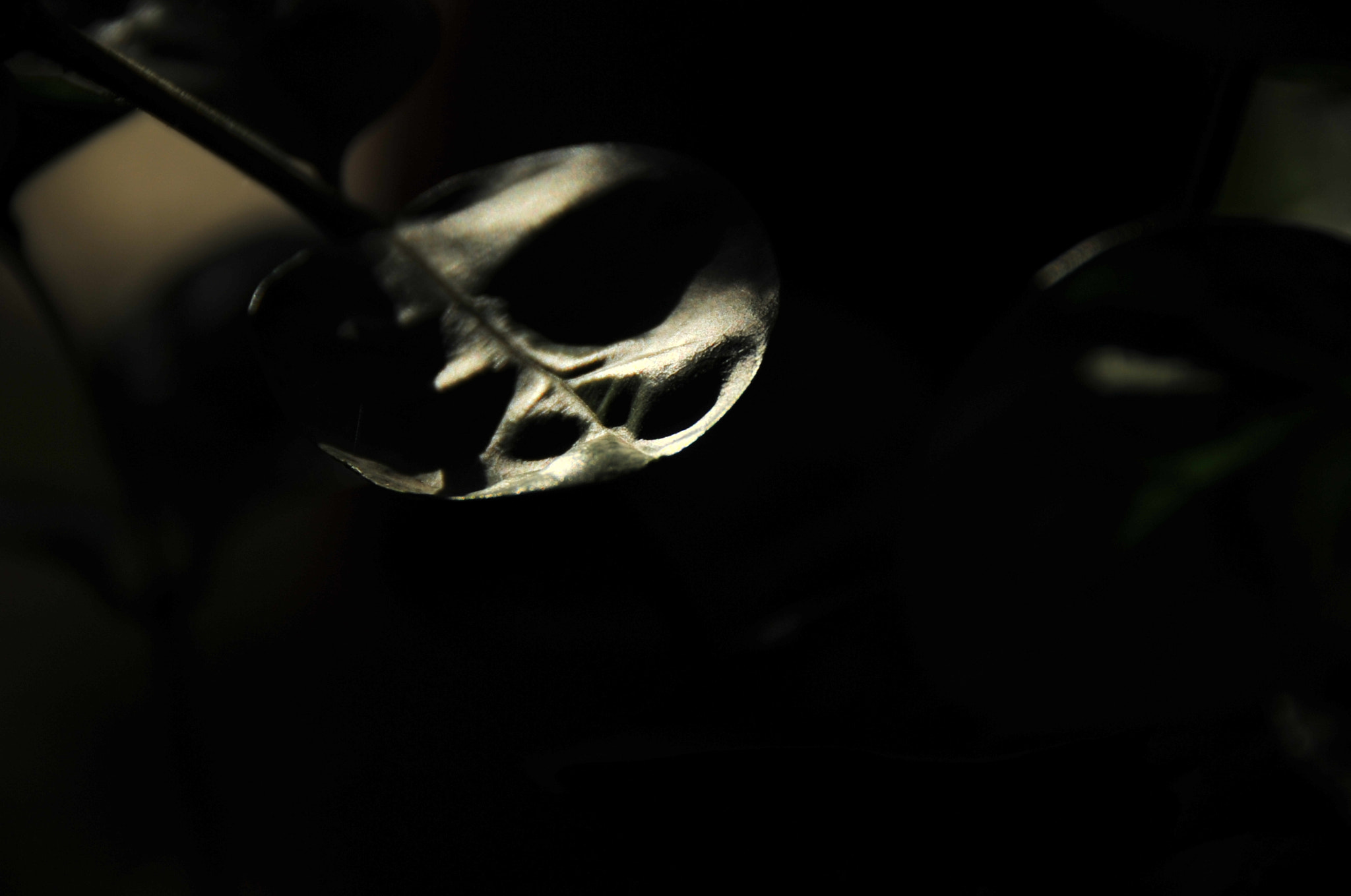 Nikon D3S sample photo. .. photography