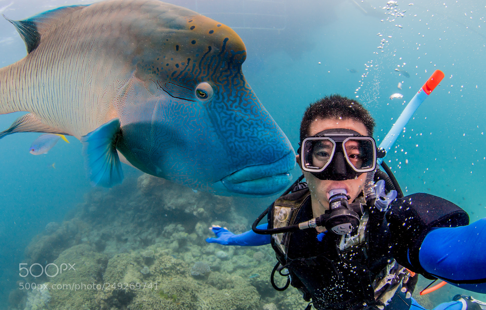 Canon EOS 7D Mark II sample photo. He wants to kiss photography