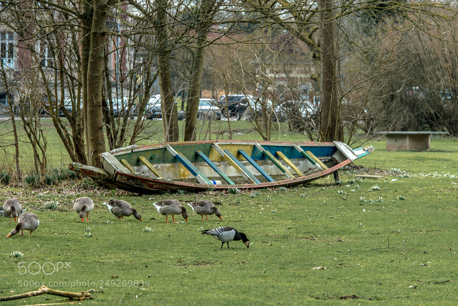 Nikon D800 sample photo. Saint laurent blangy.france. photography