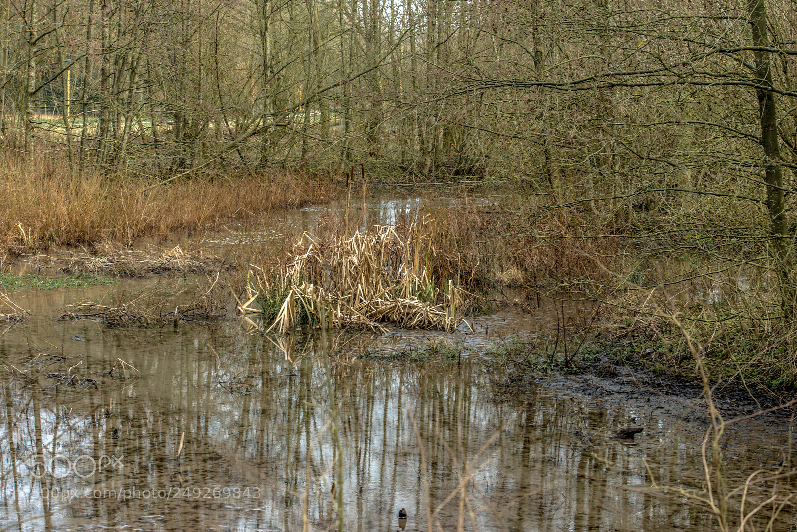 Nikon D800 sample photo. Saint laurent blangy.france. photography