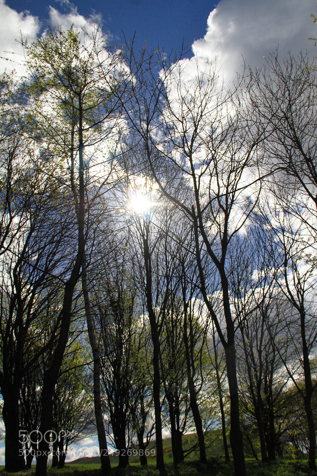 Canon EOS 7D sample photo. New day photography