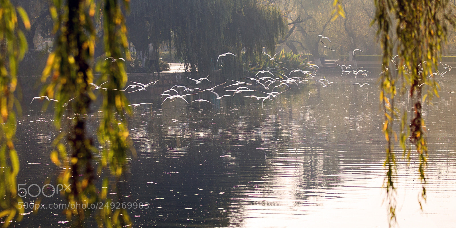 Canon EOS 650D (EOS Rebel T4i / EOS Kiss X6i) sample photo. Seeking for freedom. photography
