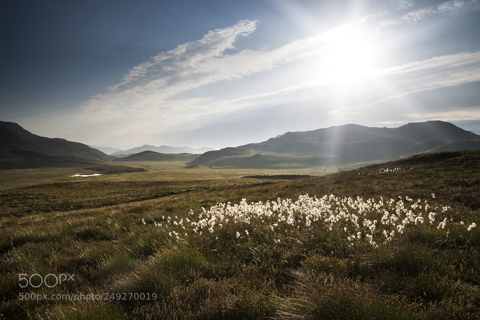 Nikon D600 sample photo. Landscape view along countryside photography