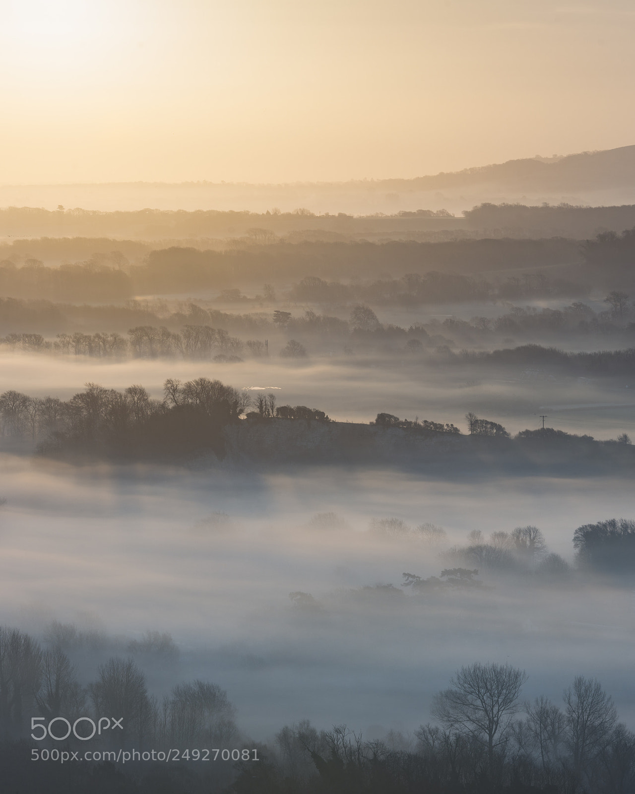 Nikon D800 sample photo. Stunning foggy english rural photography