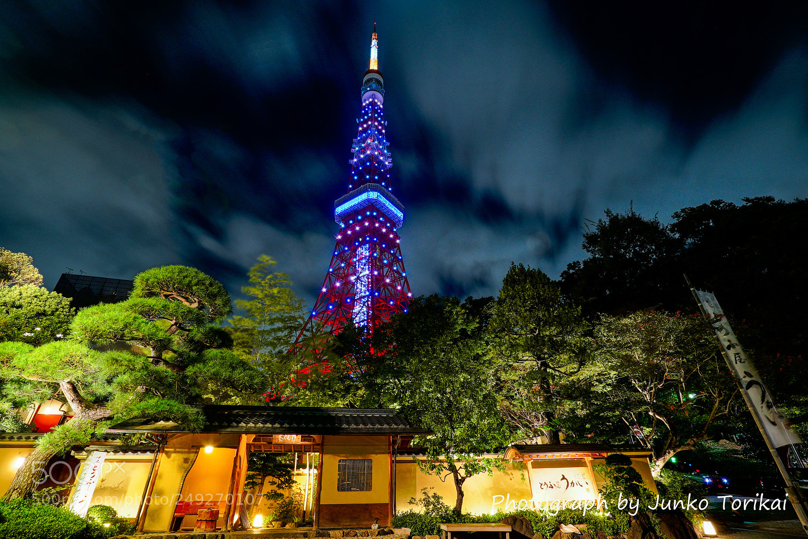 Sony a7S sample photo. Tokyo night walk photography