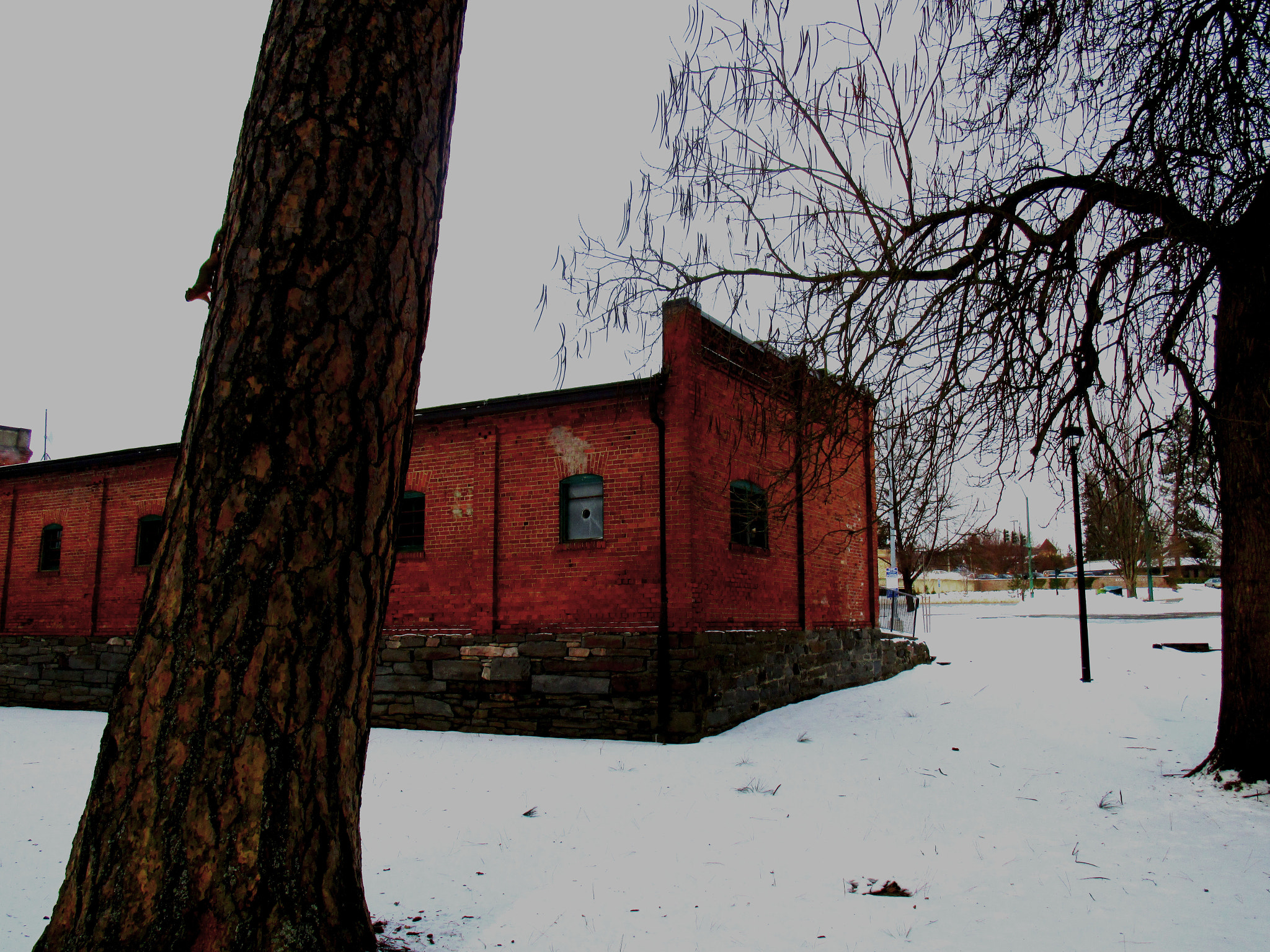 Canon PowerShot ELPH 150 IS (IXUS 155 / IXY 140) sample photo. Winter life photography