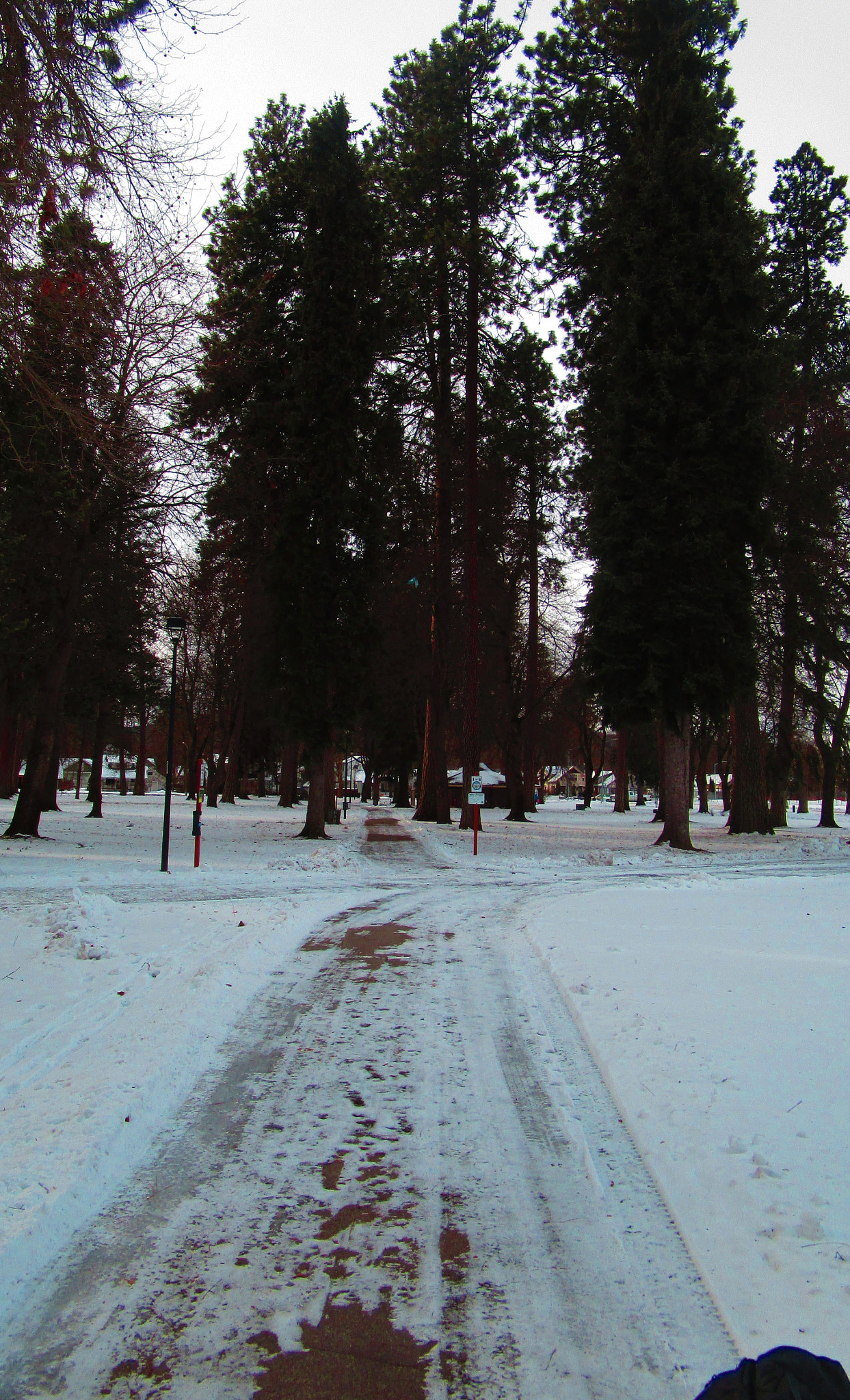 Canon PowerShot ELPH 150 IS (IXUS 155 / IXY 140) sample photo. Winter rode photography