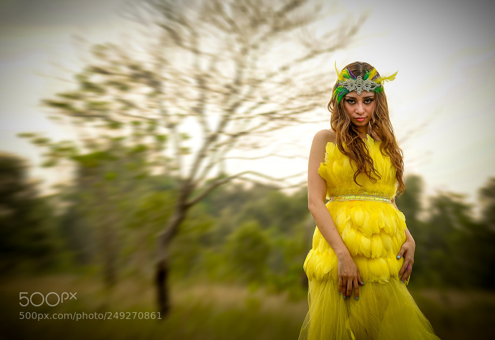 Nikon D90 sample photo. Bird queen photography