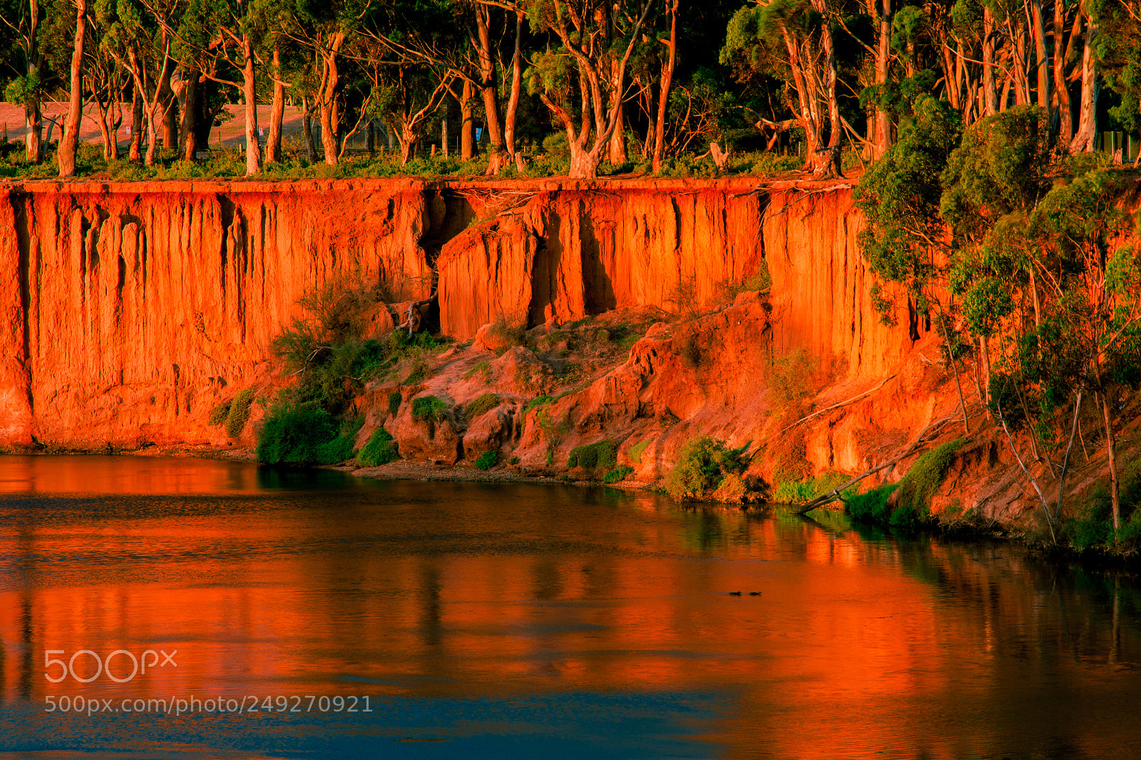 Canon EOS 50D sample photo. Werribee river erosion photography