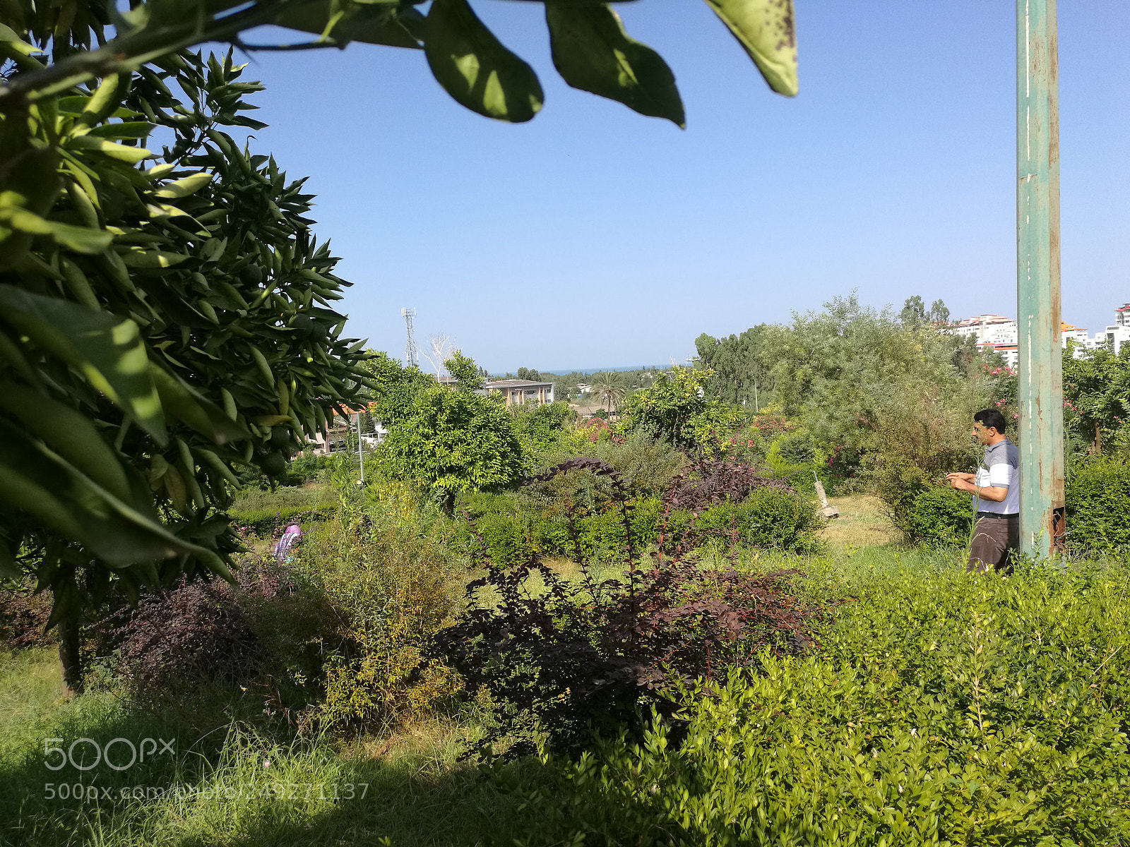 HUAWEI Mate 8 sample photo. Park 5 photography