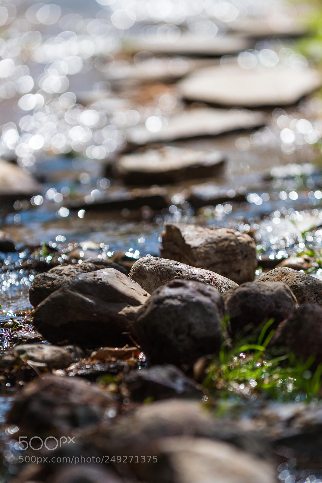 Nikon D800 sample photo. Sy photography