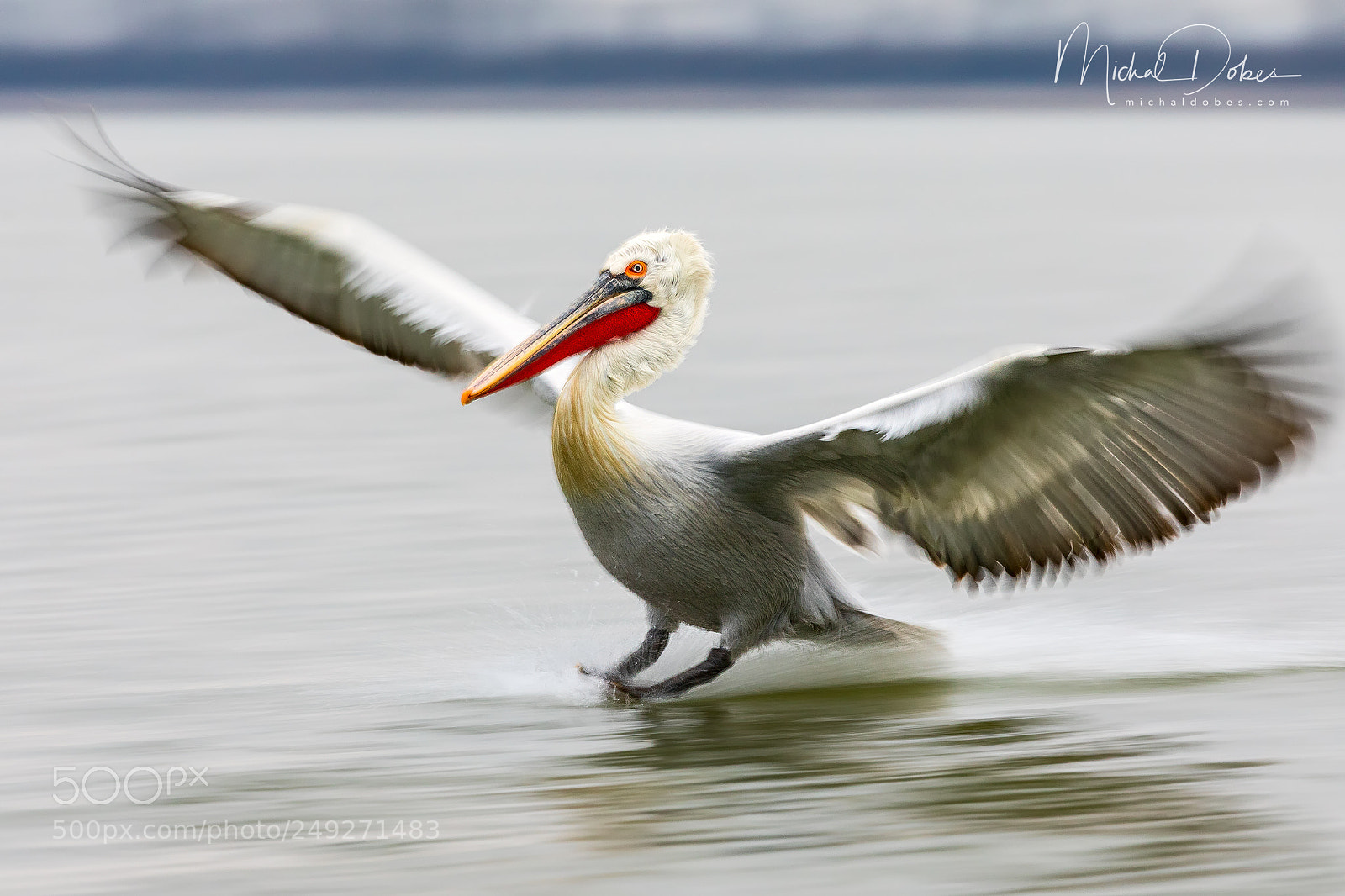 Canon EOS 5D Mark IV sample photo. Landing... photography