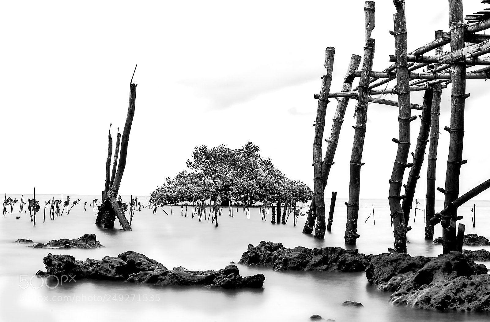 Sony a9 sample photo. Water shot photography