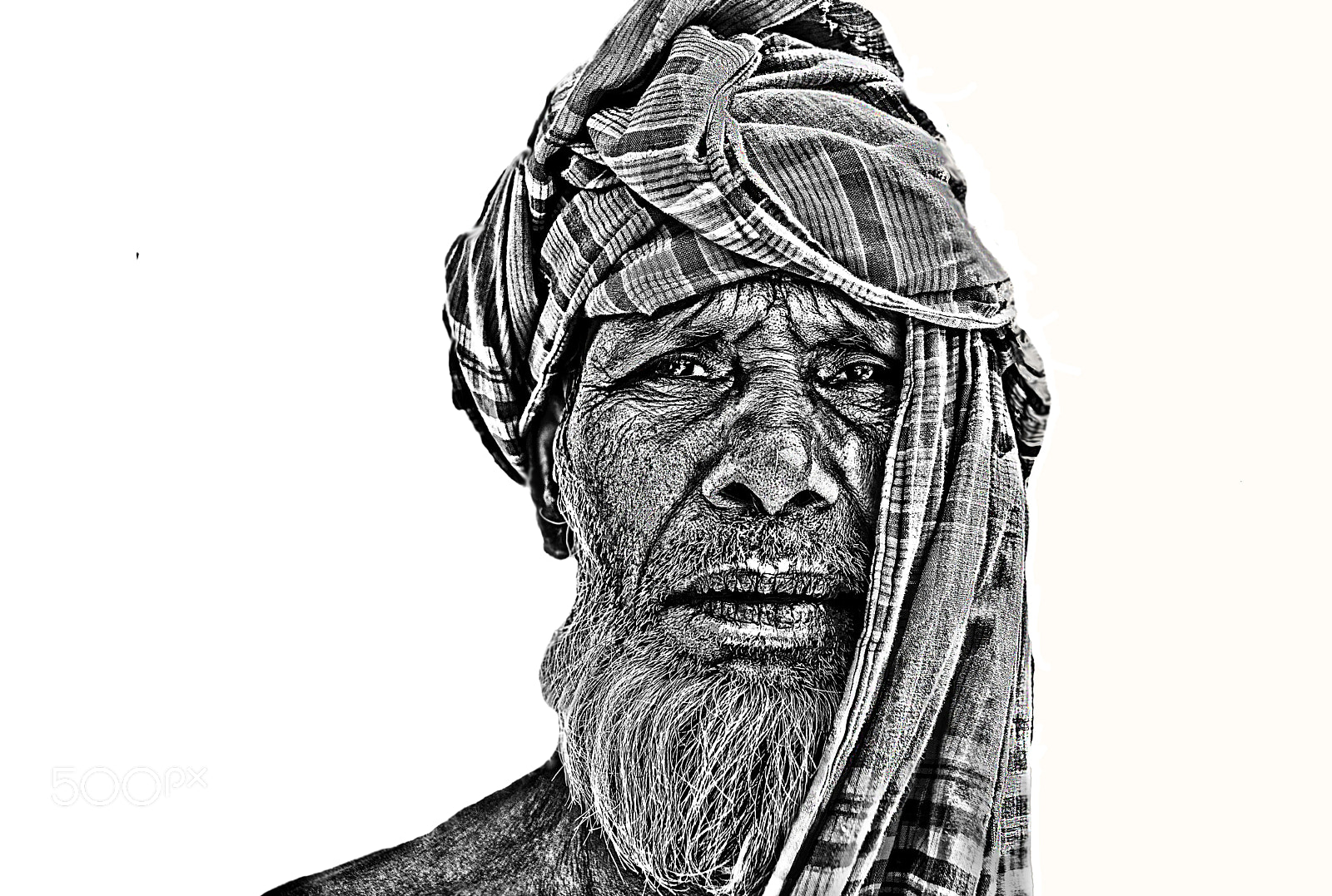 Nikon D7100 sample photo. Untitled photography