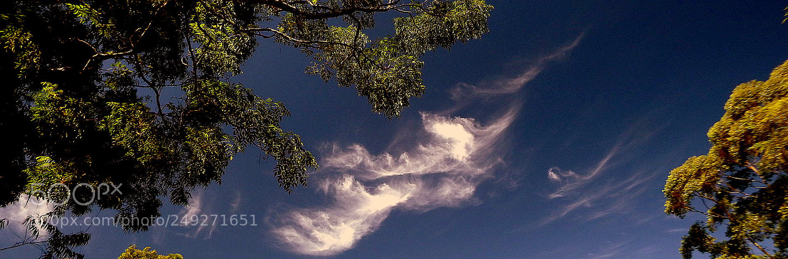 Fujifilm FinePix SL1000 sample photo. In the sky ... picture photography