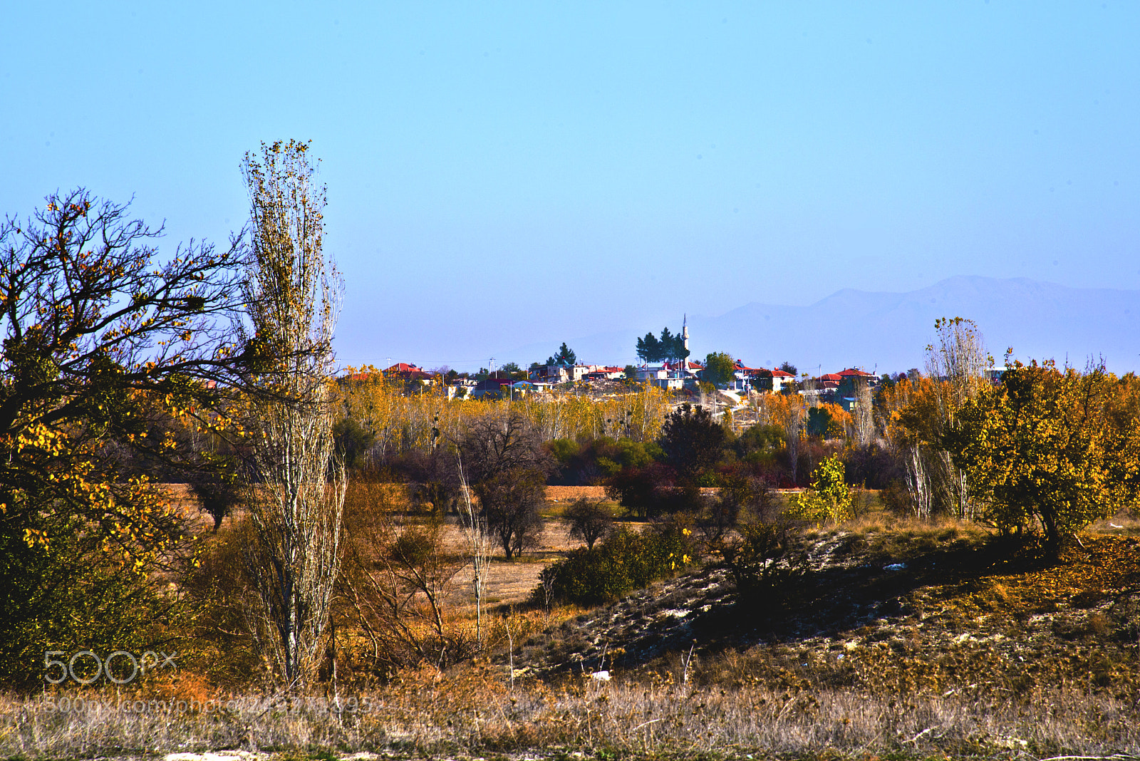 Nikon D800 sample photo. 000_3752.jpg photography