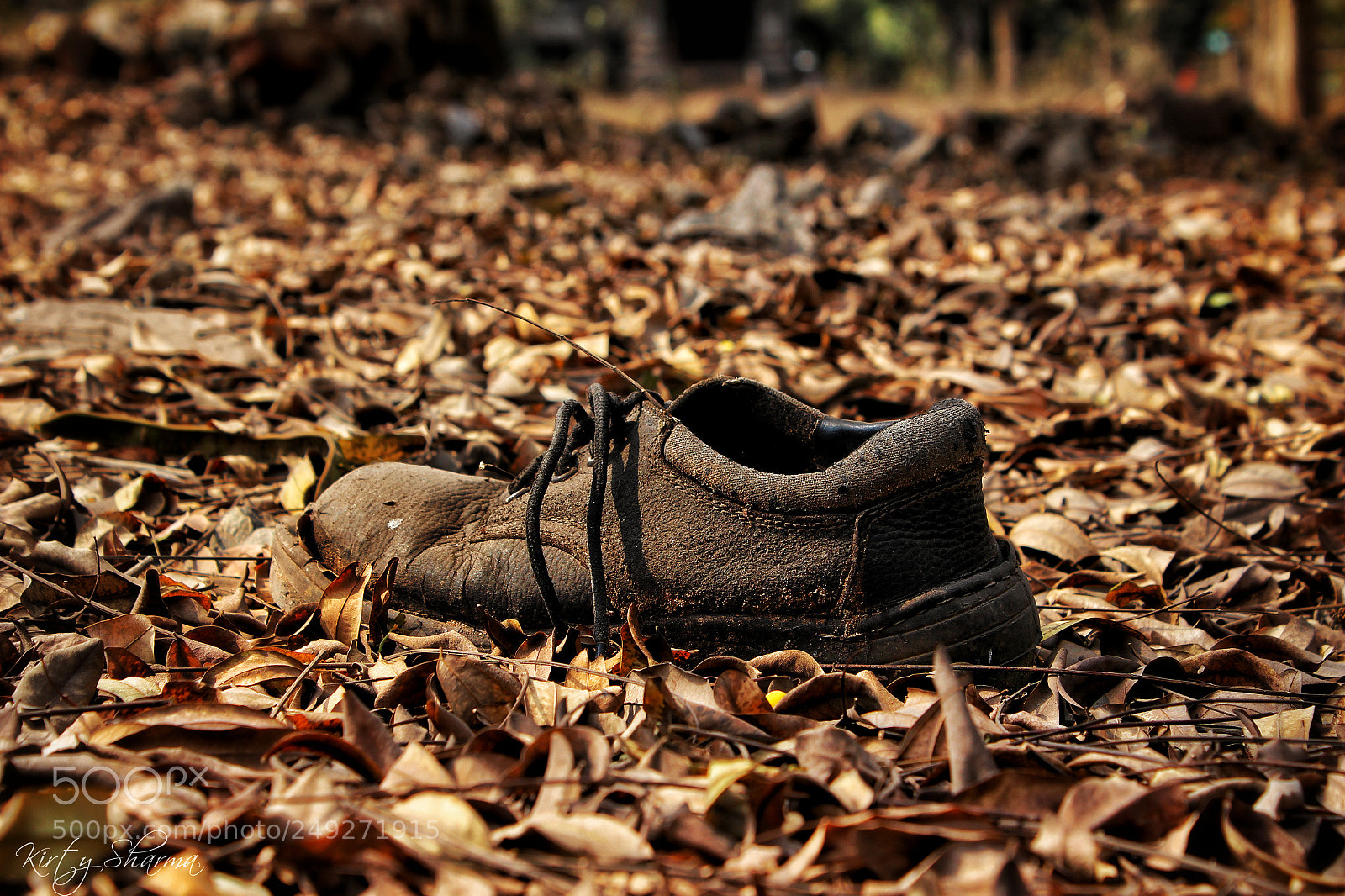 Canon EOS 700D (EOS Rebel T5i / EOS Kiss X7i) sample photo. Safety shoe photography