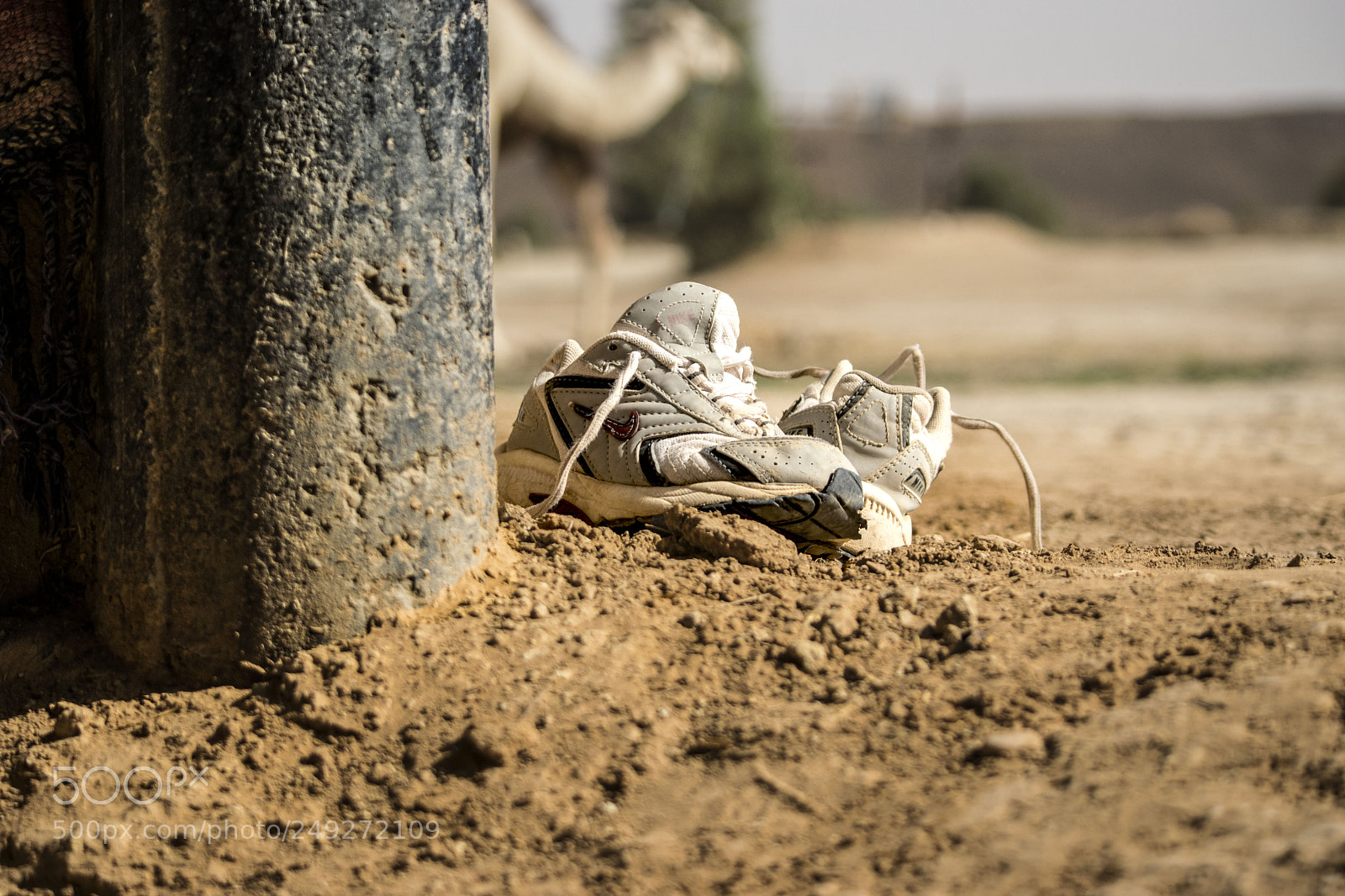 Nikon D5300 sample photo. His shoes photography