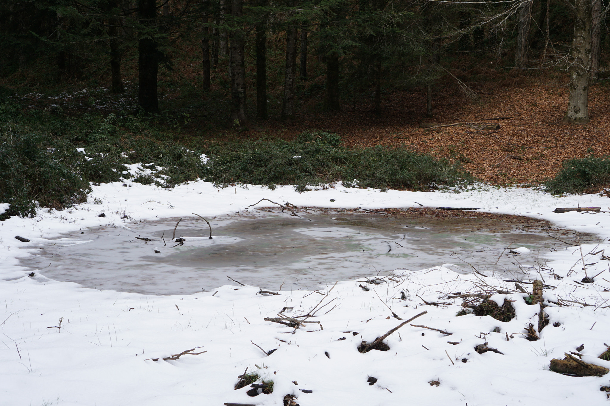 Sony a6000 + Sony E 35mm F1.8 OSS sample photo. Frozen pond photography