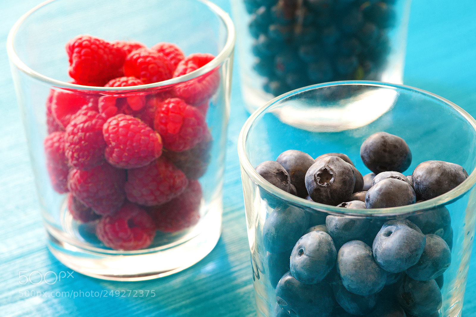 Nikon D700 sample photo. Row of wild berries photography