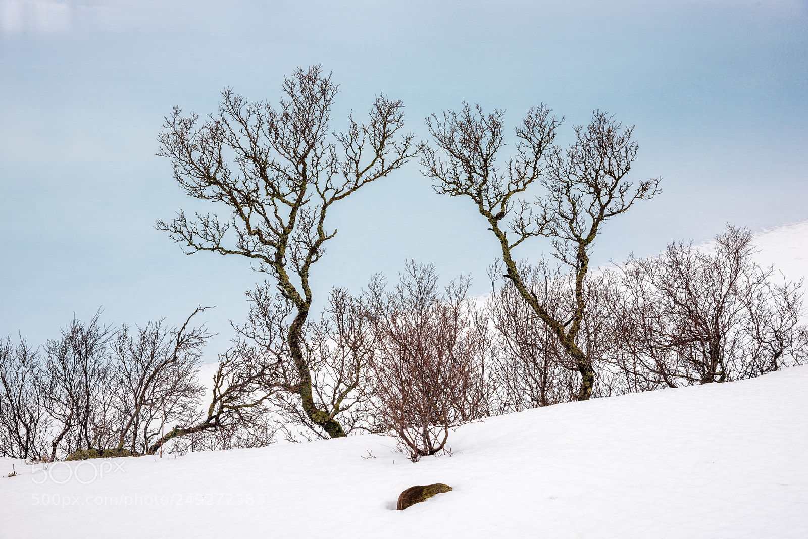 Nikon D810 sample photo. Ostadvatnet photography