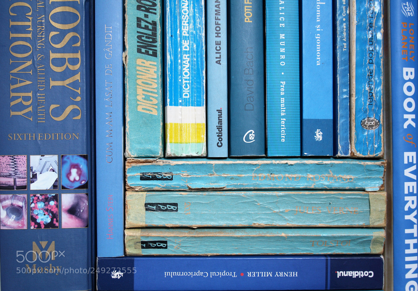 Canon EOS 1000D (EOS Digital Rebel XS / EOS Kiss F) sample photo. Blue books photography